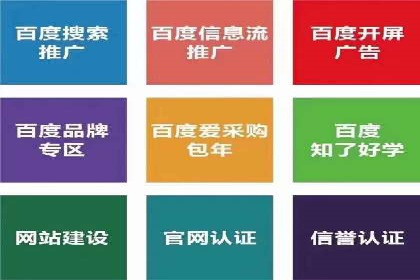 百度推广成功案例：打造行业领军品牌之路